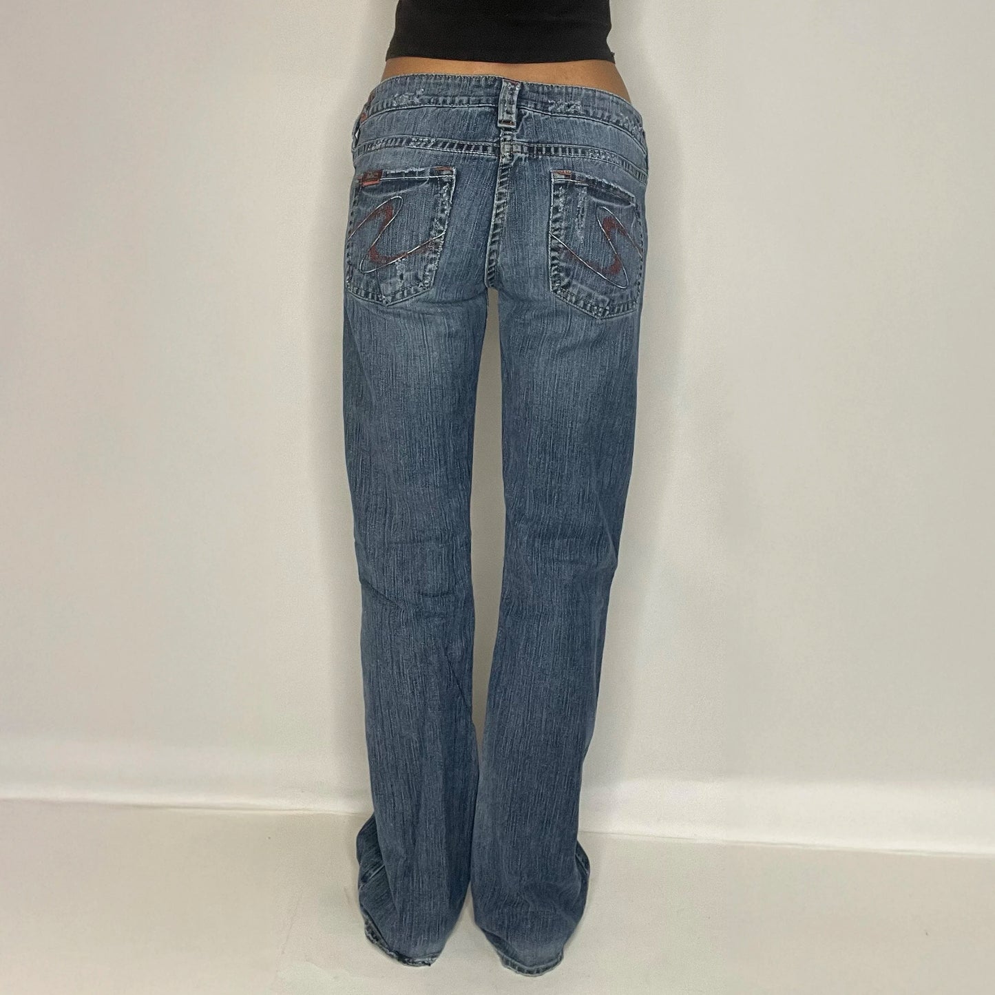 Vintage Silver Denim Low Rise Jeans