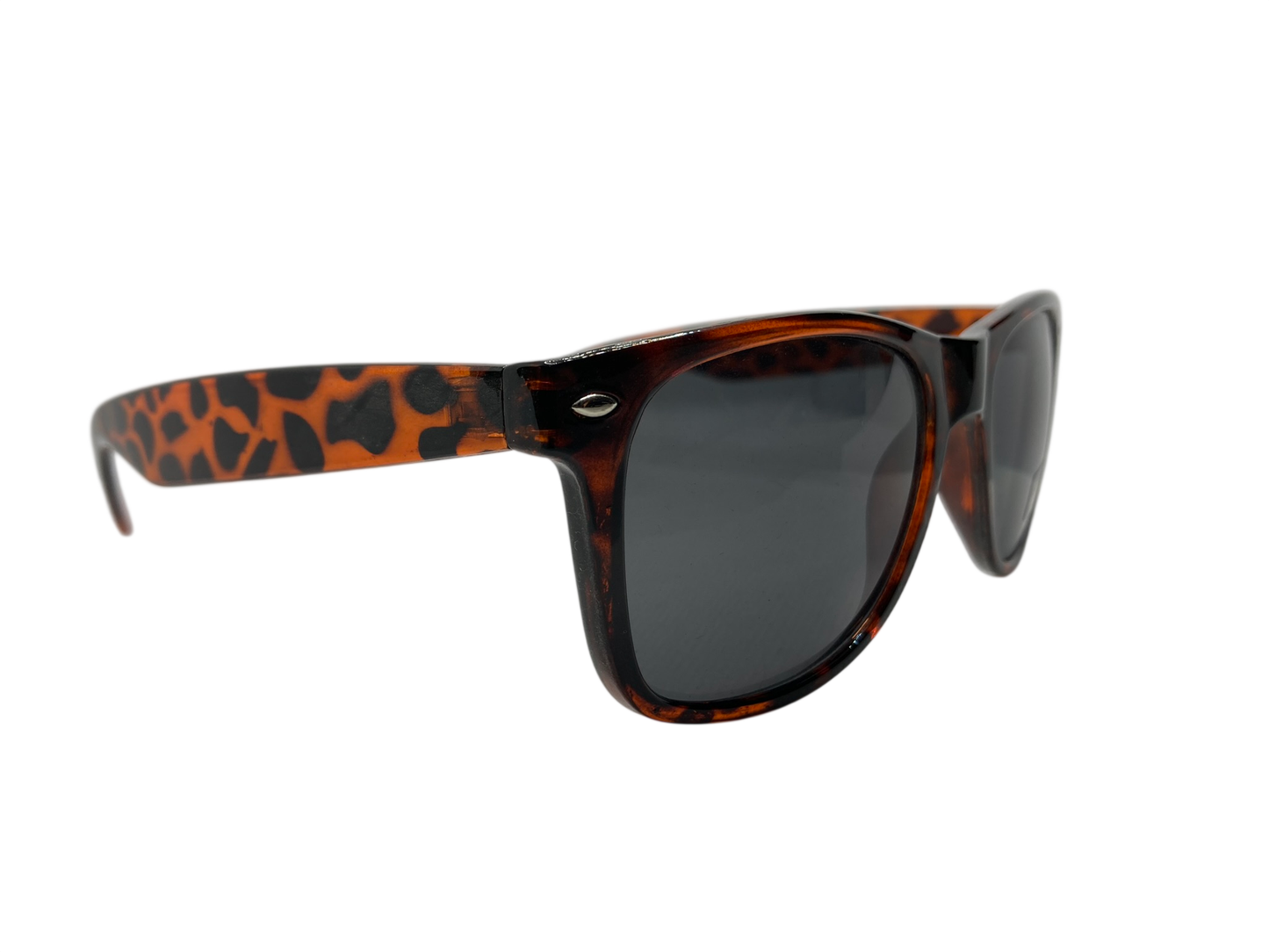 Ray Sunglasses