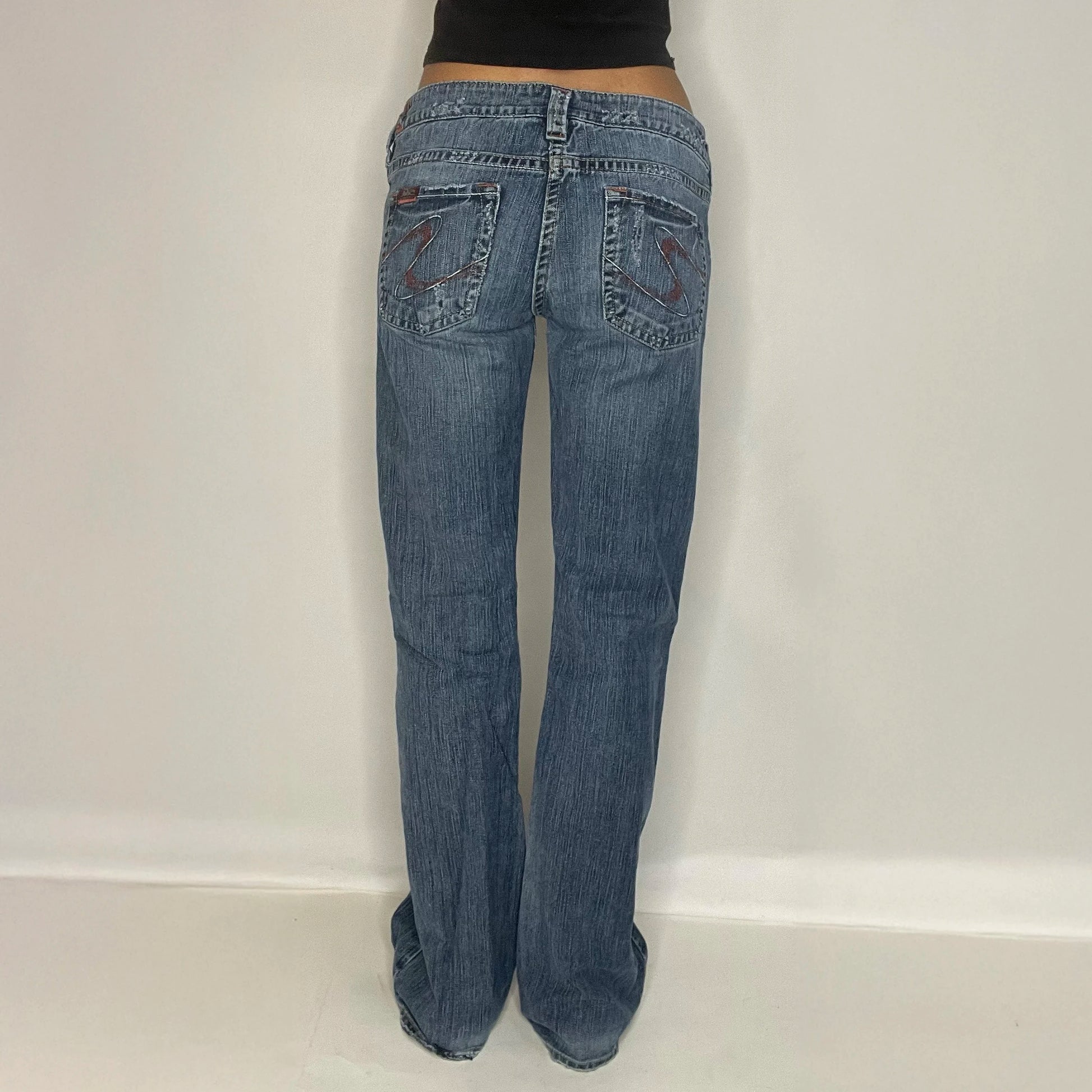 Vintage Silver Denim Low Rise Jeans