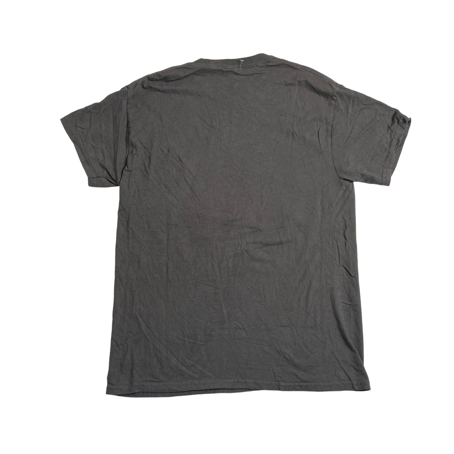 Vintage Sublime Grey T-shirt
