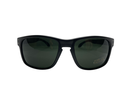 Ray Sunglasses