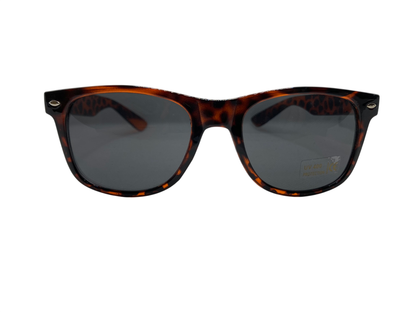 Ray Sunglasses