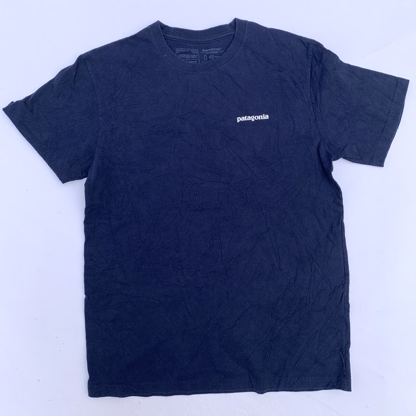 Recycled Blue Patagonia Tee-Shirt