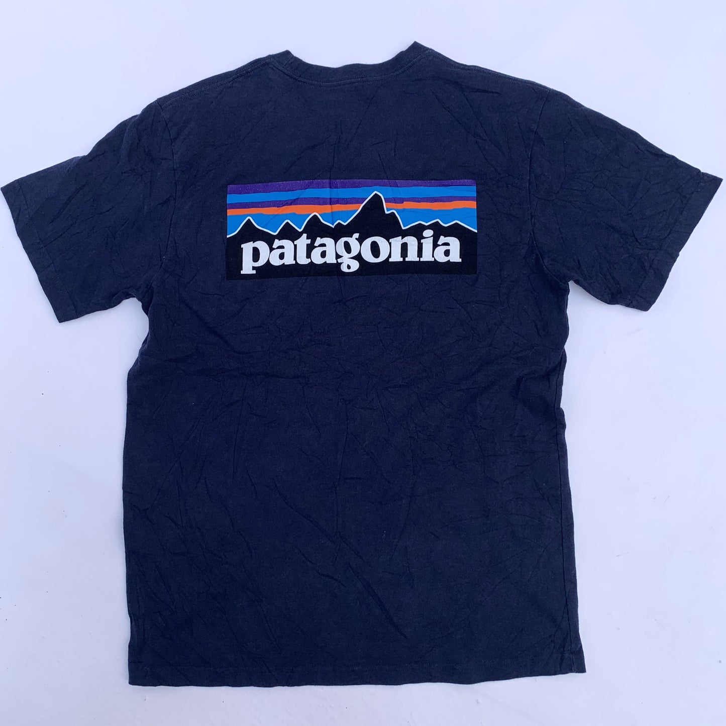 Recycled Blue Patagonia Tee-Shirt