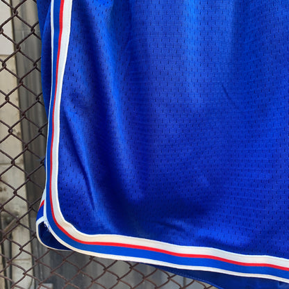 Champion Blue Shorts