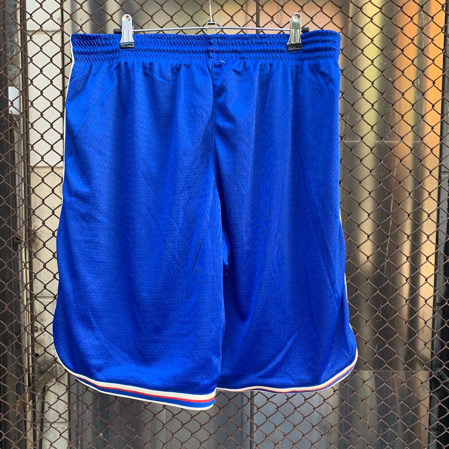 Champion Blue Shorts