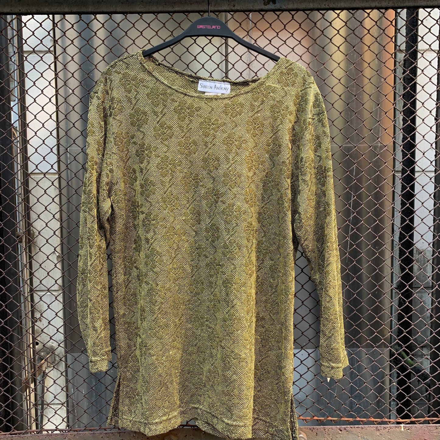 Golden Long Sleeves See-through Top