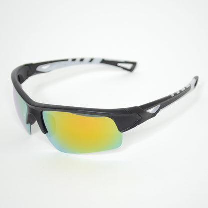 Ski Sunglasses