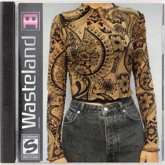 Vintage Beige Mesh Top