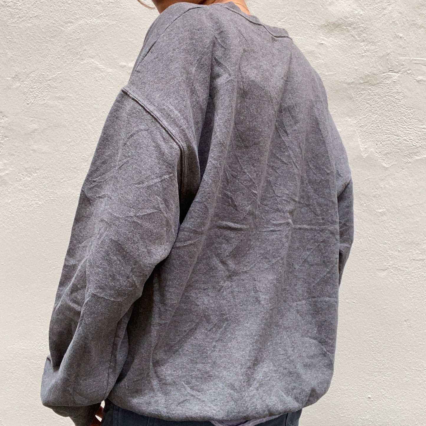 Sonic Youth Grey Sweatshirt back